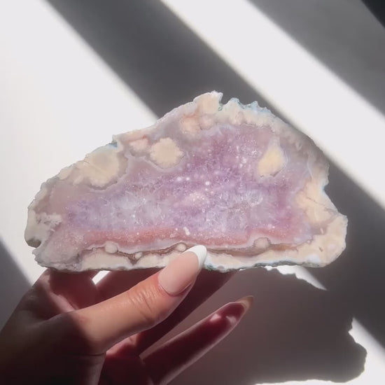 Video of Hand holding Eleanor Flower Agate slab under sunlight and natural daylight