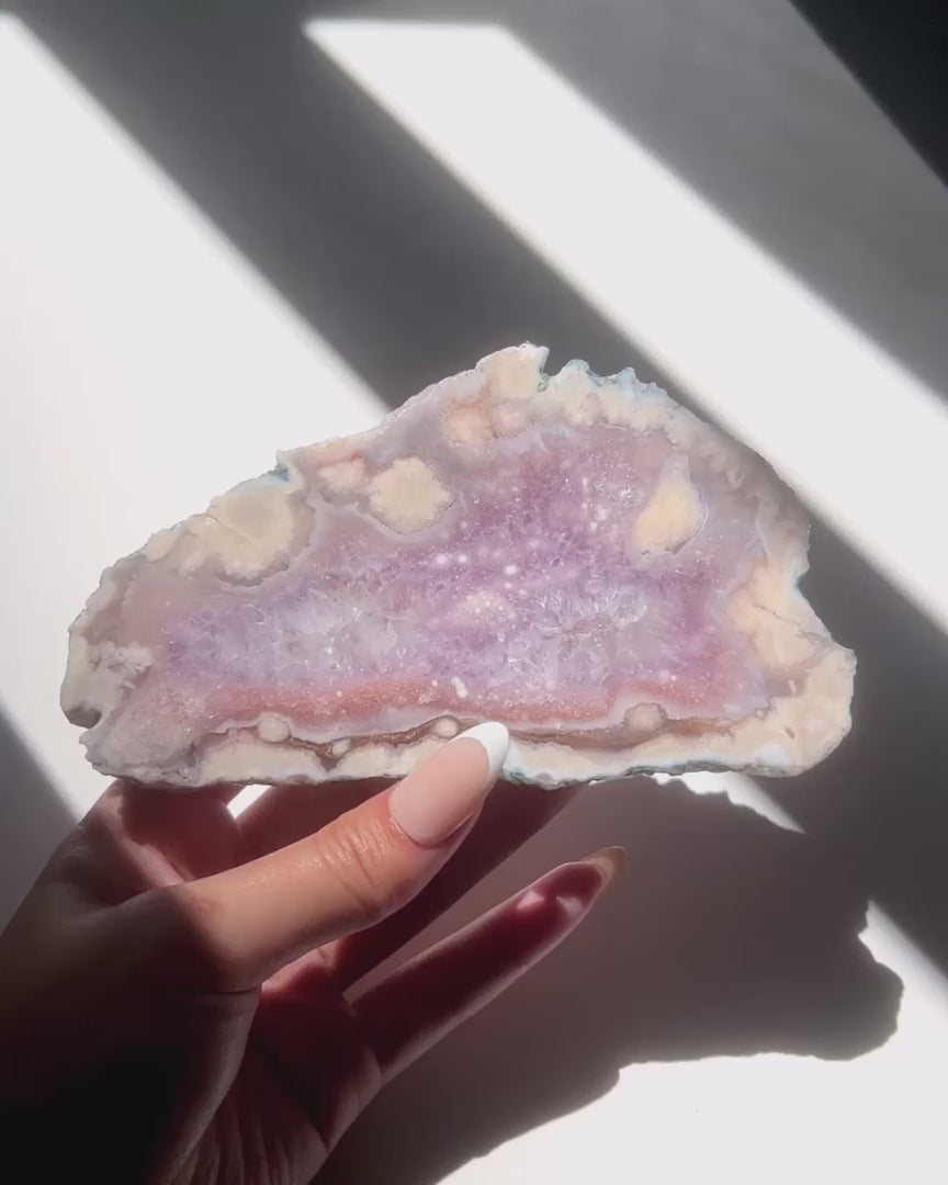 Video of Hand holding Eleanor Flower Agate slab under sunlight and natural daylight